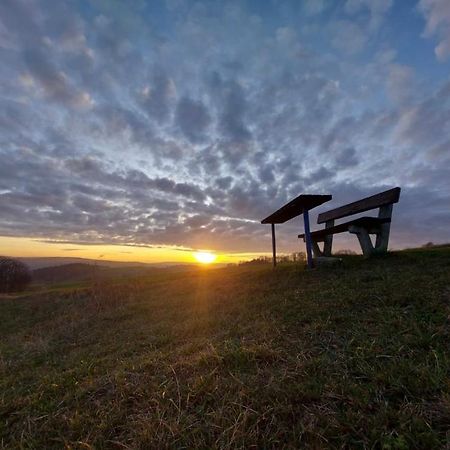 Ferienhaus Erzgebirge "An Der Trebe" Mit Kamin Und Sauna ノイハウゼン エクステリア 写真