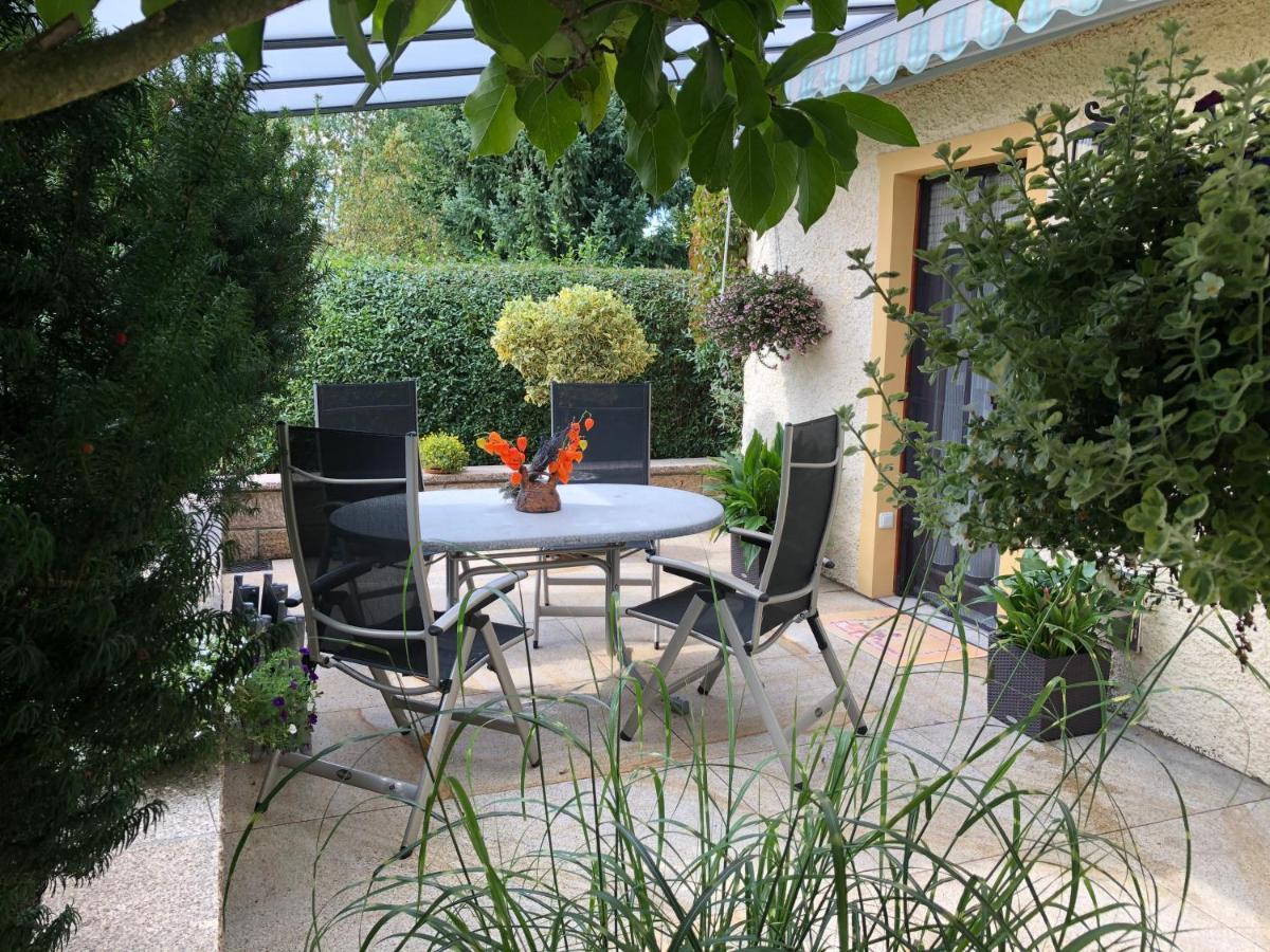 Ferienhaus Erzgebirge "An Der Trebe" Mit Kamin Und Sauna ノイハウゼン エクステリア 写真