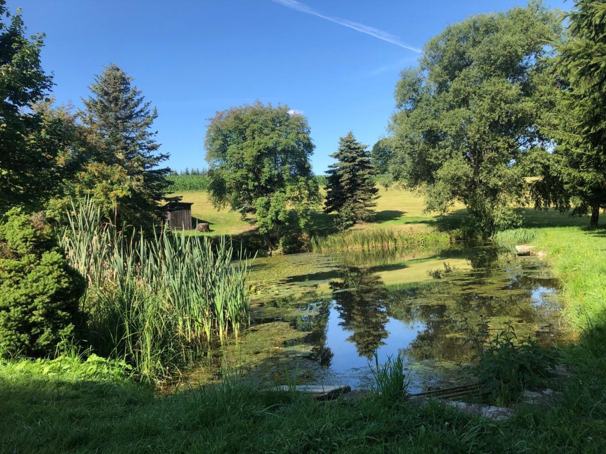 Ferienhaus Erzgebirge "An Der Trebe" Mit Kamin Und Sauna ノイハウゼン エクステリア 写真