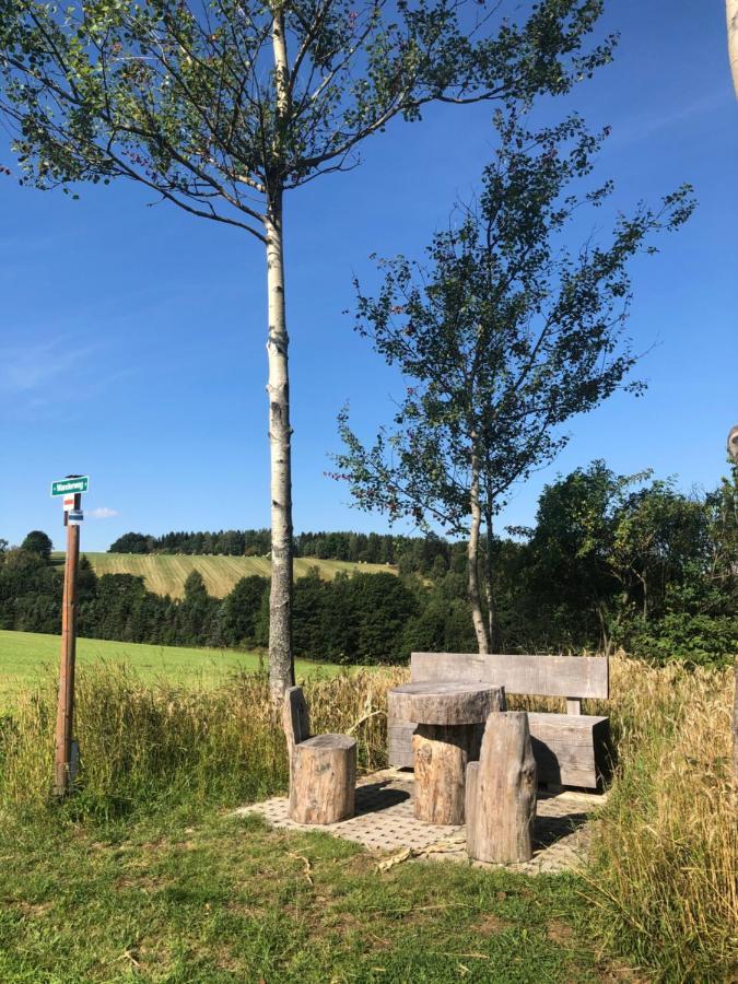 Ferienhaus Erzgebirge "An Der Trebe" Mit Kamin Und Sauna ノイハウゼン エクステリア 写真