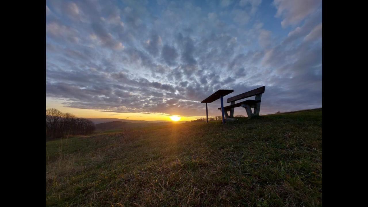 Ferienhaus Erzgebirge "An Der Trebe" Mit Kamin Und Sauna ノイハウゼン エクステリア 写真