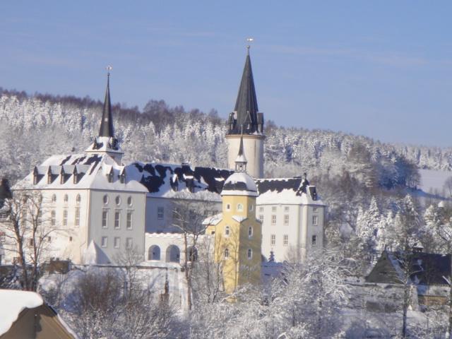 Ferienhaus Erzgebirge "An Der Trebe" Mit Kamin Und Sauna ノイハウゼン 部屋 写真