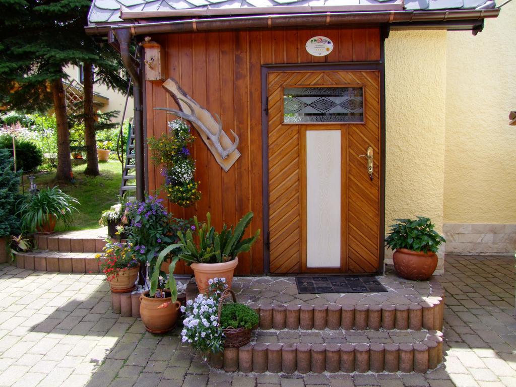 Ferienhaus Erzgebirge "An Der Trebe" Mit Kamin Und Sauna ノイハウゼン 部屋 写真