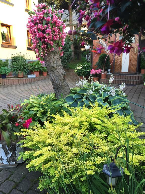 Ferienhaus Erzgebirge "An Der Trebe" Mit Kamin Und Sauna ノイハウゼン エクステリア 写真