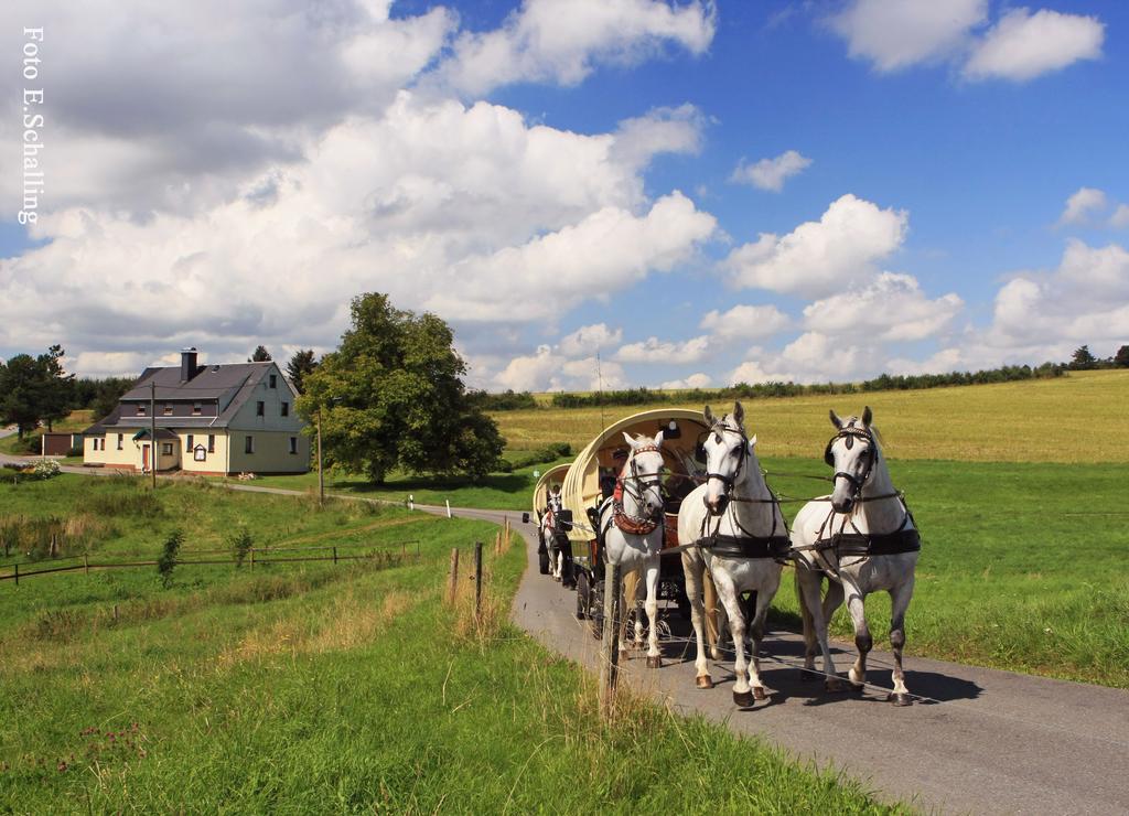 Ferienhaus Erzgebirge "An Der Trebe" Mit Kamin Und Sauna ノイハウゼン エクステリア 写真