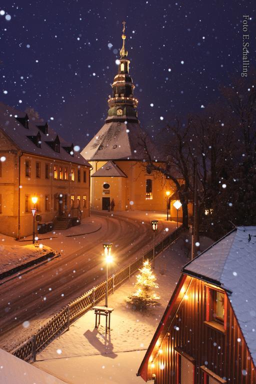Ferienhaus Erzgebirge "An Der Trebe" Mit Kamin Und Sauna ノイハウゼン エクステリア 写真