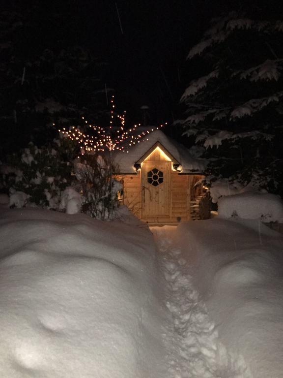Ferienhaus Erzgebirge "An Der Trebe" Mit Kamin Und Sauna ノイハウゼン エクステリア 写真