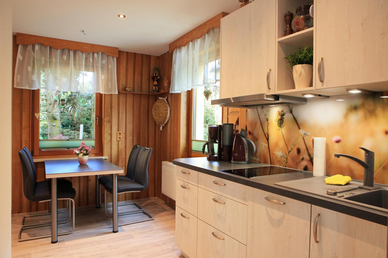 Ferienhaus Erzgebirge "An Der Trebe" Mit Kamin Und Sauna ノイハウゼン エクステリア 写真